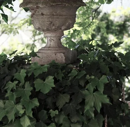 Casa Meli